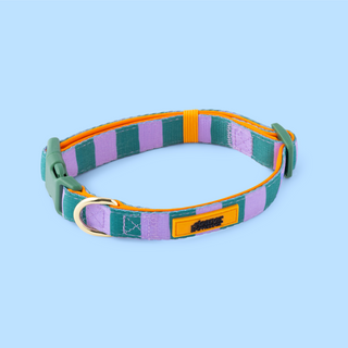 Checkerboard Star Pet Collar