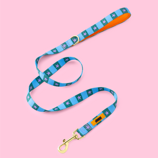 Checkerboard Star Pet Lead