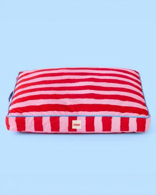 Painted Stripe Flat Pet Bed