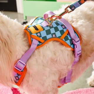 Checkerboard Star Pet Harness